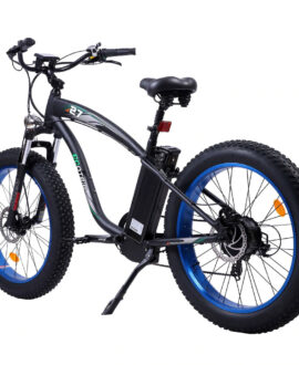 Ecotric Hammer 48V 750W UL Certified Beach Snow Fat Tire Electric Bike