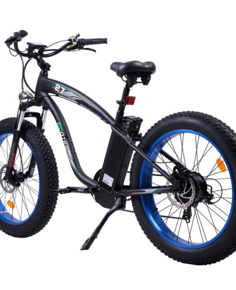 Ecotric Hammer 48V 750W UL Certified Beach Snow Fat Tire Electric Bike