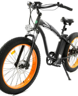 Ecotric Hammer 48V 750W UL Certified Beach Snow Fat Tire Electric Bike