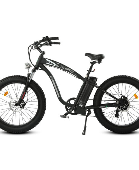 Ecotric Hammer 48V 750W UL Certified Beach Snow Fat Tire Electric Bike