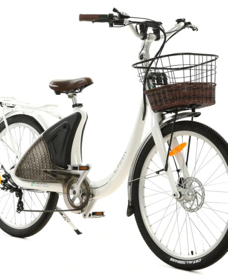 Ecotric Lark 36V/10Ah 500W Electric City Bike with Basket and Rear Rack