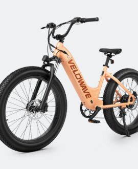 Rover Step-Thru Electric Bike