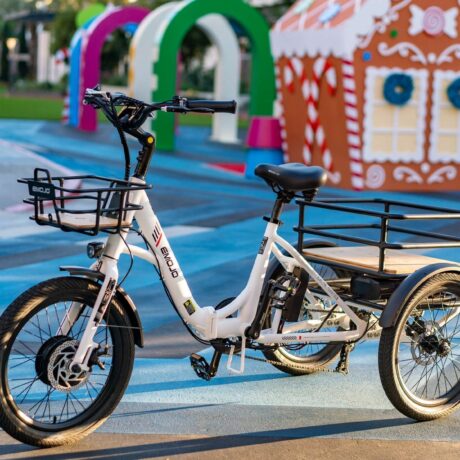 Emojo Bison S Folding Step-Through Electric Bike