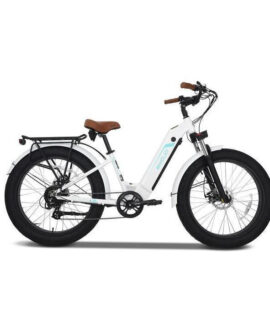 Emojo Breeze PRO 48V/13Ah 750W Beach Cruiser Electric Bike