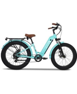 Emojo Breeze PRO 48V/13Ah 750W Beach Cruiser Electric Bike