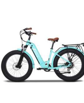 Emojo Breeze PRO 48V/13Ah 750W Beach Cruiser Electric Bike