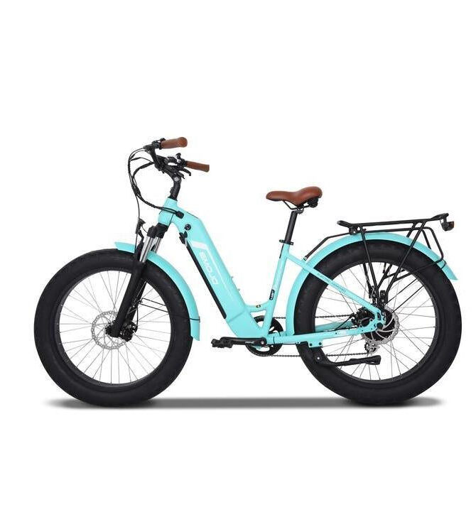 Emojo Breeze PRO 48V/13Ah 750W Beach Cruiser Electric Bike