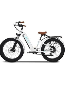 Emojo Breeze PRO 48V/13Ah 750W Beach Cruiser Electric Bike