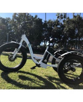 Emojo Caddy 48V/15Ah 500W Fat Tire Electric Trike