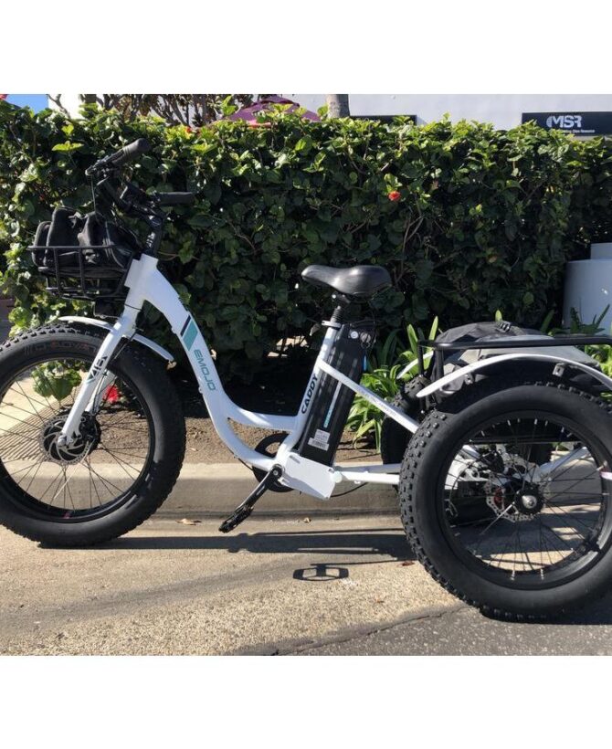 Emojo Caddy 48V/15Ah 500W Fat Tire Electric Trike