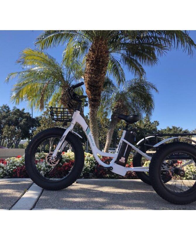 Emojo Caddy 48V/15Ah 500W Fat Tire Electric Trike