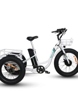 Emojo Caddy 48V/15Ah 500W Fat Tire Electric Trike