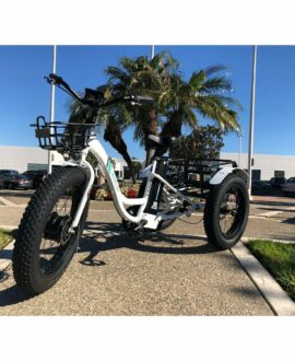 Emojo Caddy 48V/15Ah 500W Fat Tire Electric Trike