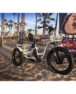 Emojo Caddy Pro 48V/15Ah 500W Fat Tire Electric Trike