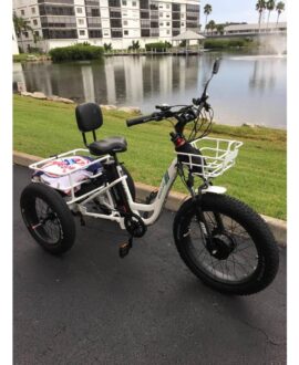 Emojo Caddy Pro 48V/15Ah 500W Fat Tire Electric Trike