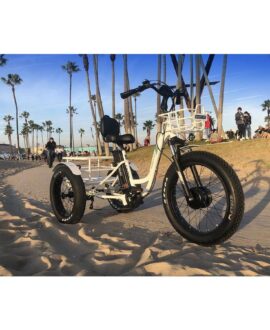 Emojo Caddy Pro 48V/15Ah 500W Fat Tire Electric Trike