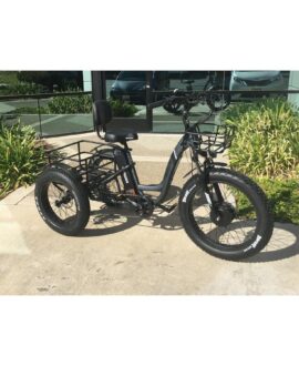 Emojo Caddy Pro 48V/15Ah 500W Fat Tire Electric Trike