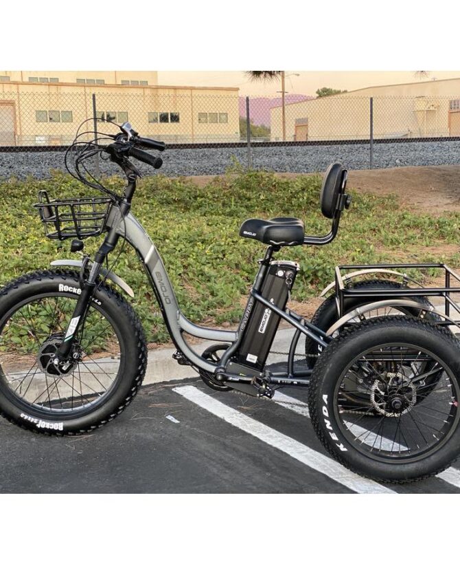 Emojo Caddy Pro 48V/15Ah 500W Fat Tire Electric Trike