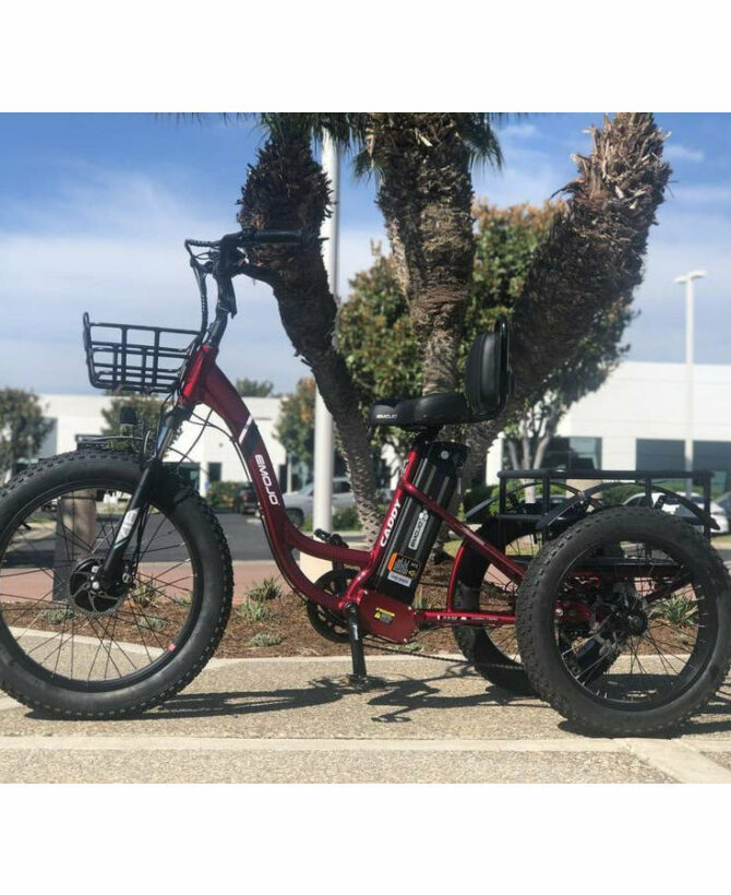 Emojo Caddy Pro 48V/15Ah 500W Fat Tire Electric Trike