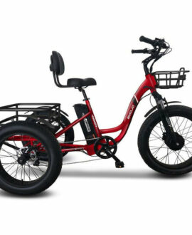 Emojo Caddy Pro 48V/15Ah 500W Fat Tire Electric Trike