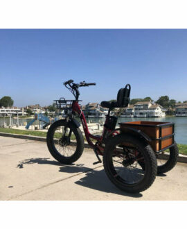 Emojo Caddy Pro 48V/15Ah 500W Fat Tire Electric Trike