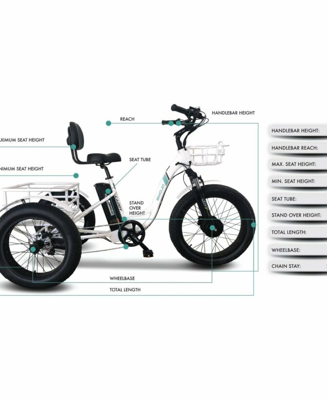 Emojo Caddy Pro 48V/15Ah 500W Fat Tire Electric Trike