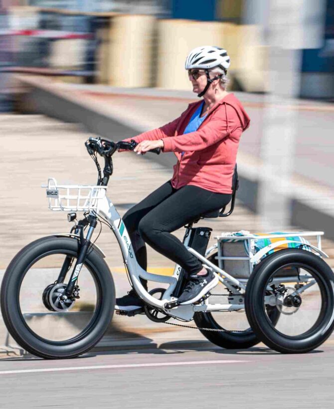 Emojo Caddy Pro 48V/15Ah 500W Fat Tire Electric Trike