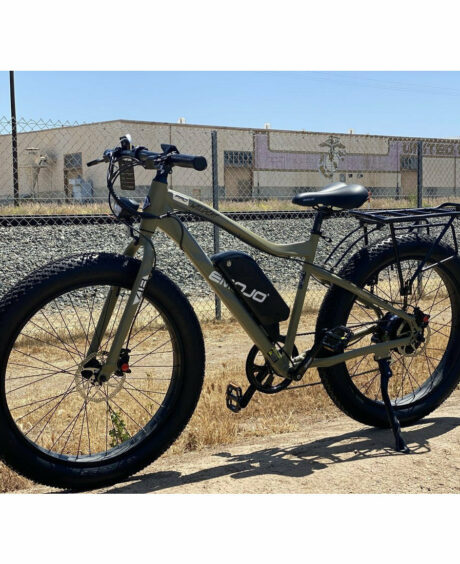 Emojo Wildcat Pro 500 48V/10.4Ah 500W Fat Tire Electric Mountain Bike