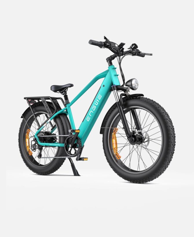 Engwe E26 1000W 48V 16Ah Lithium-Ion Battery All-Terrain E-bike