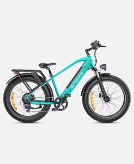 Engwe E26 1000W 48V 16Ah Lithium-Ion Battery All-Terrain E-bike