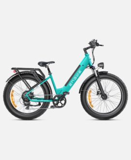 Engwe E26 1000W 48V 16Ah Lithium-Ion Battery All-Terrain E-bike