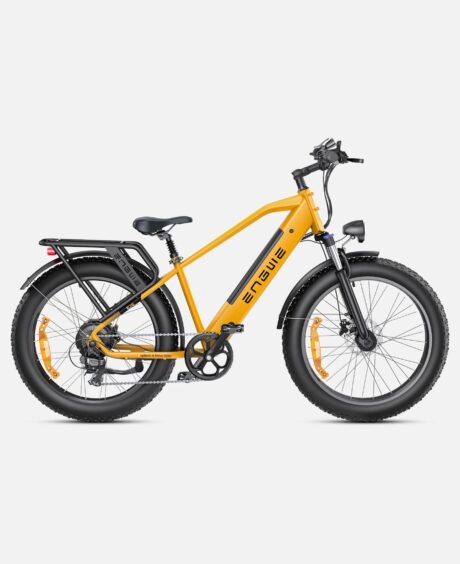 Engwe E26 1000W 48V 16Ah Lithium-Ion Battery All-Terrain E-bike