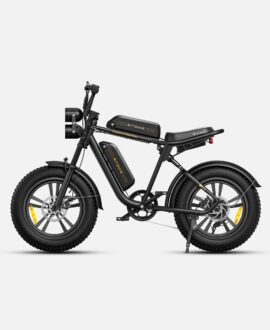 Engwe M20 1000W Electric Bike