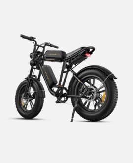 Engwe M20 1000W Electric Bike