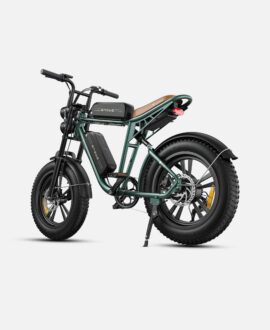 Engwe M20 1000W Electric Bike