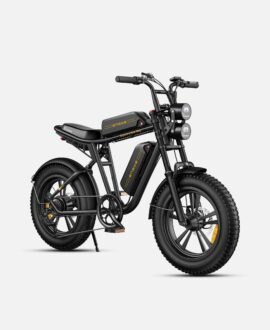 Engwe M20 1000W Electric Bike