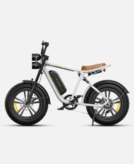 Engwe M20 1000W Electric Bike