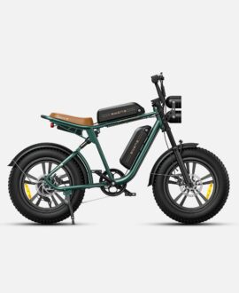 Engwe M20 1000W Electric Bike