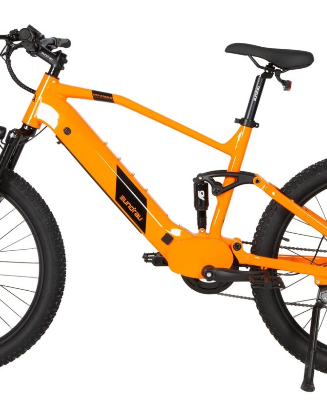 Eunorau Defender 48V/15Ah 500W Fat Tire Electric Bike