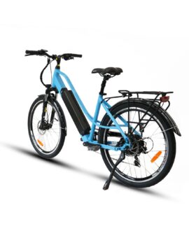 Eunorau E-TORQUE 48V/16Ah 500W Electric Bike