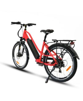 Eunorau E-TORQUE 48V/16Ah 500W Electric Bike