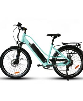 Eunorau E-TORQUE 48V/16Ah 500W Electric Bike