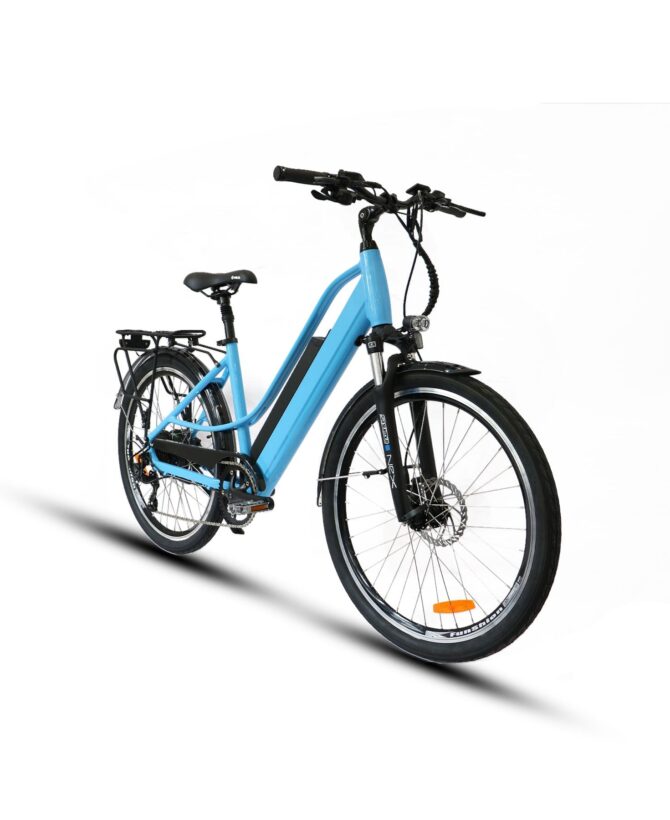 Eunorau E-TORQUE 48V/16Ah 500W Electric Bike