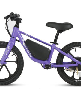 Eunorau EKIDS-16 24V/10Ah 180W Electric Bike 2024