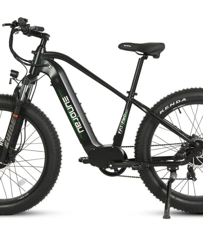 Eunorau FAT-AWD 2.0 48V15AH 500W Electric Bike