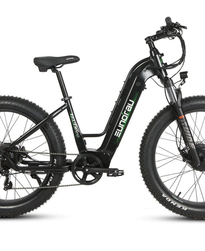 Eunorau FAT-AWD 2.0 48V15AH 500W Electric Bike