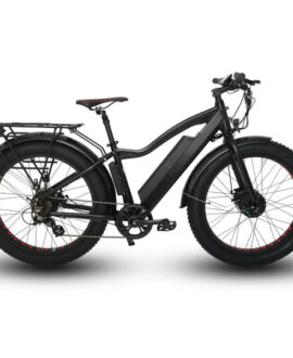 Eunorau Fat-AWD 48V/15.6Ah Dual Motor Fat Tire Electric Commuter Bike