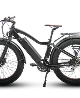 Eunorau Fat-AWD 48V/15.6Ah Dual Motor Fat Tire Electric Commuter Bike