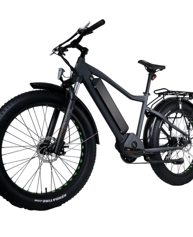 Eunorau Fat-HD 48V/15.6Ah 1000W Fat Tire Electric Mountain Bike