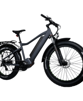 Eunorau Fat-HD 48V/15.6Ah 1000W Fat Tire Electric Mountain Bike